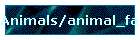 Animals/animal_farm.htm
